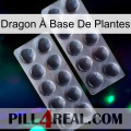 Dragon À Base De Plantes 31